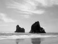 the golden bay experience