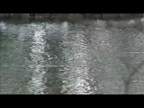 1 Hour Of Relaxing Music (Snatam Kaur)