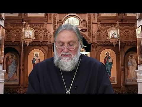 «Свет православия». 17.11.24. 1014 выпуск.