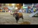 Moncofa - Agosto 2008 Bous Moncofa - Agosto 2008 Bous