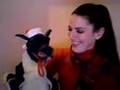 Merry Christmas From Sharon A. Fox And Her Dragon Puppet (1)