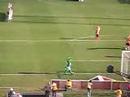 :: Palmeiras Piriquito