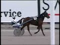 inte illa solvalla inte illa solvalla