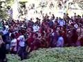 Demonstration at UCLA for Taser Incident by UCPD