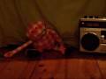 de teddies - chunkey