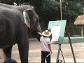 Elephant Camp: Part Two
