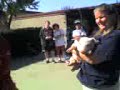 Delph Kisses a Pig