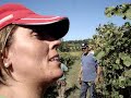 Vindimas 2007