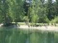 Summer Serenity