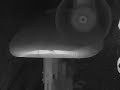 Precision Shapes 2007