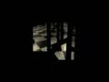 videos de Animal Locomiton_test_1,2