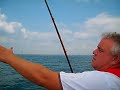 Mackerel fishing in chichester harbour