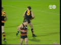 From memory, the Mickan kick was from a charity free, too. Harrumph!
