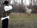 Yugoslavian 7.62x39 FMJ Brown Bear & 1lb Tannerite Video 200