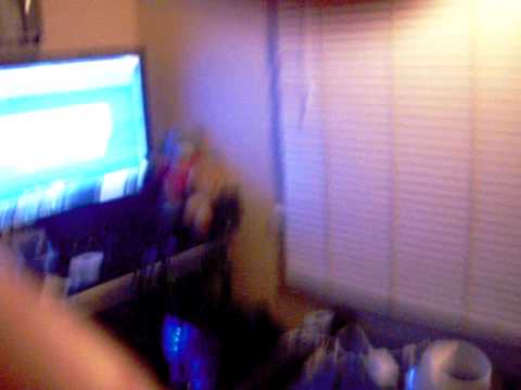 foxy bingo foxy bingo