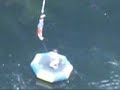 screaming the whole way through bunjee jumping!