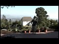 Visual FX Test (flying)