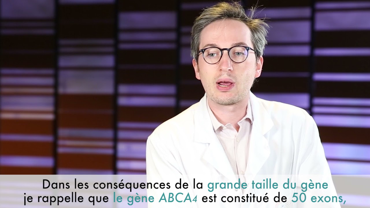 3 - Maladie de Stargardt : Génétique, les spécificités