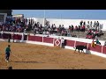 Vaquillas en Fuensalida Vaquillas en Fuensalida