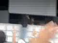 Cristian Varela volviendo loco al Aquasella Cristian Varela volviendo loco al Aquasella
