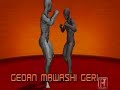 Human Weapon Karate - Gedan Mawashi Geri, Low Kick Human Weapon Karate - Gedan Mawashi Geri, Low Kick