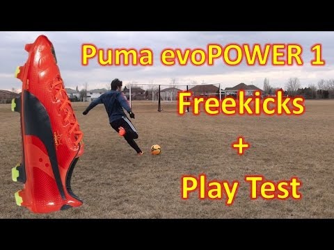 puma