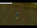 runescape :- how to earn 1k by (princesyed5)