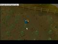videos de runescape :- how to earn 1k by (princesyed5)
