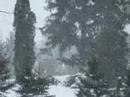 One day at my place in Ontario