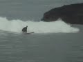 Surfing at Roaring