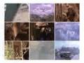 Turystyka - wsp�lna sprawa