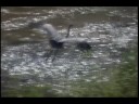 still image from video