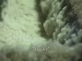 making fufu2