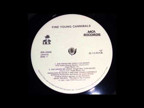 She Drives Me Crazy (The Justin Strauss Remix) - Fine Young Cannibals