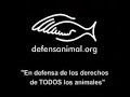 ska p  animales de laboratorio