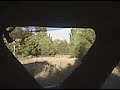 Looking for the elusive White tail deer