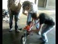 Giacomello rastone sulla minimoto