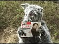 Wolfman T.Y Film Studies Colasite Chairain