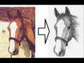 Funny May The Horse Be With You