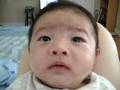 videos de One happy morning for Artie~