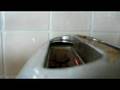 videos de I Get Scared By My Toaster