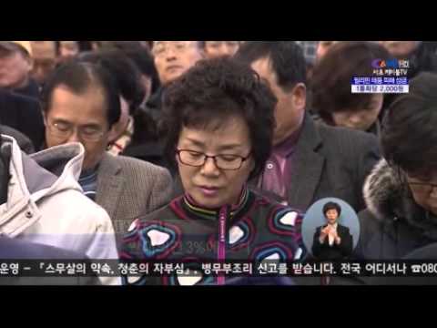 TV속의 서초(13.11.25-12.1)