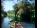Shirley Bassey - Almost Like Being In Love (Uk-Tv 1978)