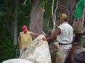 Mica Rock Rolling Mica Rock Rolling