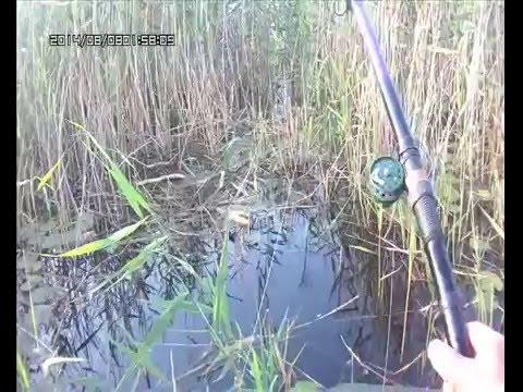 рыбалка в камышах михалыч рыбалка в камышах михалыч