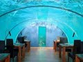 Ithaa: il primo ristorante sottomarino Ithaa: il primo ristorante sottomarino