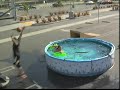 Kobe Bryant jumps over a pool of snakes + Kenny Smith Kobe Bryant jumps over a pool of snakes + Kenny Smith