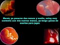 Carta de un Beb� a Mam�