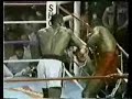 HOLYFIELD - DeLeon 4of4