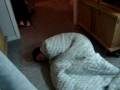 videos de kyle trying to scare vavo.mpg